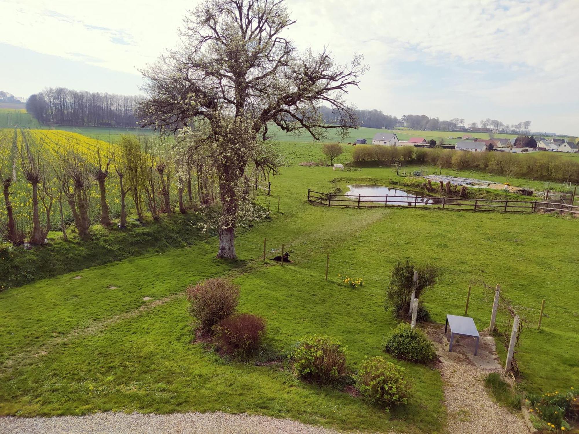 Chambres D'Hotes " Le Clos Des Colimacons " 曼尼克维尔 外观 照片